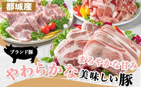 「きなこ豚」焼肉・とんかつセット 計2.1kg_MJ-1204
