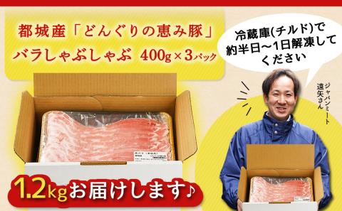 「どんぐりの恵み豚」こだわりのバラしゃぶしゃぶ1.2kg_13-1101
