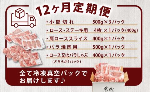 ≪12回連続お届け≫「宮崎SPF豚」日替わりバラエティセット定期便_T192-12-K901