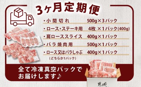 ≪3回連続お届け≫「宮崎SPF豚」日替わりバラエティセット定期便_T48-3-K901