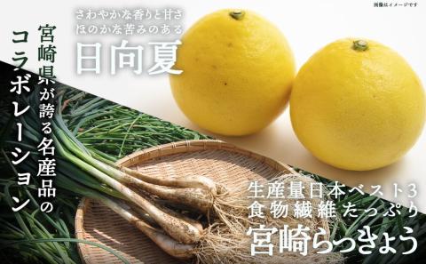【お試し♪】日向夏らっきょう 90g×3袋≪みやこんじょ特急便≫ ※ポスト投函_LA-C401-PF-Q