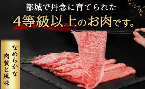 宮崎牛霜降りスライス500g×赤身牛すきスライス500gセット_AE-I502