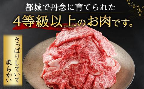 宮崎牛モモバラ切り落とし800g_MJ-I504