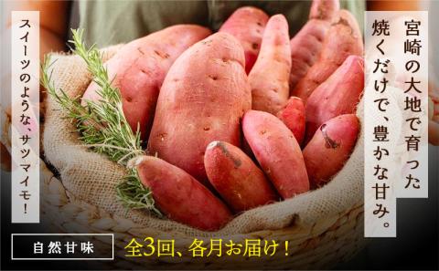 【3回お届け!】都城産 長期熟成紅はるか 3kg 定期便_TLE3-I201