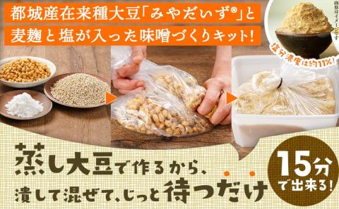 お家で簡単!味噌づくりキット【麦味噌】_AA-G802