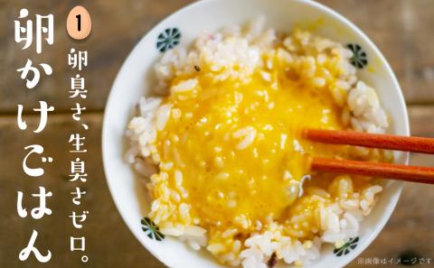 新鮮赤卵「きみ恋卵」110個_MJ-2904