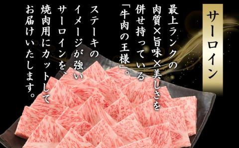 【A5】宮崎牛サーロイン焼肉用500g_AE-0106_【肉 牛肉 焼き肉 焼肉 人気 おすすめ 国産 宮崎県産】