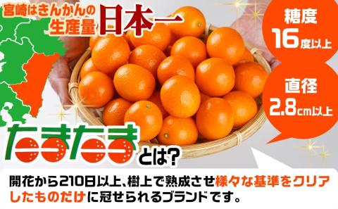 《先行受付!》 完熟きんかん「たまたまL」&「たまたまExcellent」 計800g (スタンドパック入り)_AO-0103