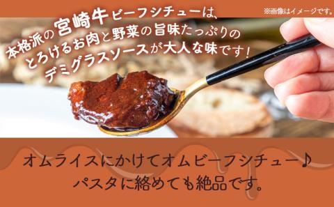 【☆クリスマス☆】宮崎牛ビーフシチュー&骨付き照り焼きチキンセット≪12月20日～23日お届け≫_AA-H302-OJX