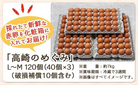 アスタキサンチン入り赤卵「高崎のめぐみ」120個_MJ-6802
