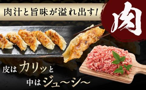 旨味が溢れ出す☆手づくり餃子(肉・海老)80個入り_AA-5403