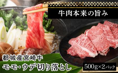 宮崎牛モモ・ウデ切り落とし1kg_AC-2520_【肉 牛肉 切り落とし 焼き肉 焼肉 スライス すき焼き しゃぶしゃぶ 人気 おすすめ 国産】