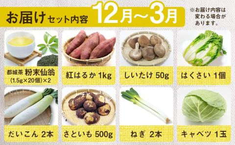 都城茶と都城産季節の野菜セット_AA-3701
