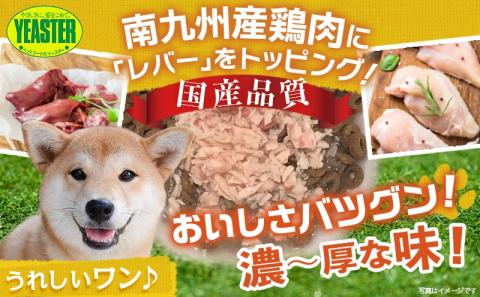 【柴犬専用】フードのお供に☆うまみ和え鶏(レバー入り)15袋_LF-3306
