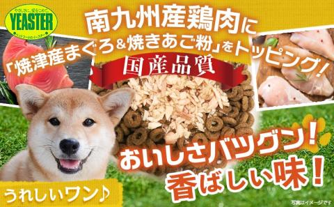 【柴犬専用】フードのお供に☆うまみ和え鶏まぐろ(焼きあご粉入り)15袋_LF-3307
