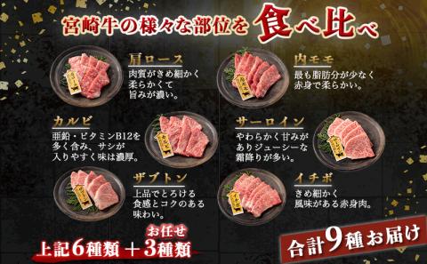 宮崎牛焼肉食べ比べ9種盛_32-3101_【肉 牛肉 焼き肉 焼肉 人気 おすすめ 国産 宮崎県産】