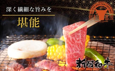【黒毛和牛】焼肉6種盛り食べ比べセット(真空包装)_33-4201_【肉 牛肉 焼き肉 焼肉 人気 おすすめ 国産 宮崎県産】
