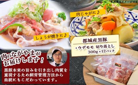 黒豚ウデ・モモ切り落とし3.6kg_MJ-2520