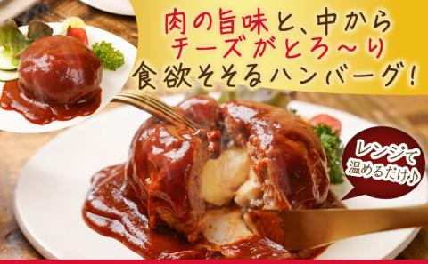 デミグラスソースがたっぷり～チーズインハンバーグ～10個セット_MJ-F706