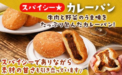 スパイシー☆カレーパン&もちもち☆あんドーナツ10個セット_12-F703