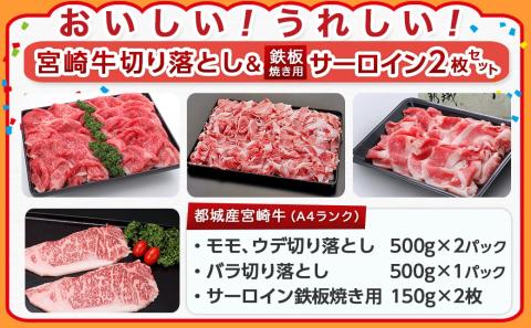 【元気モリモリ福袋】宮崎牛切り落とし・鉄板焼き用サーロイン2枚セット_AE-2501_【肉 牛肉 切り落とし 焼き肉 焼肉  ステーキ スライス すき焼き しゃぶしゃぶ 人気 おすすめ 国産】