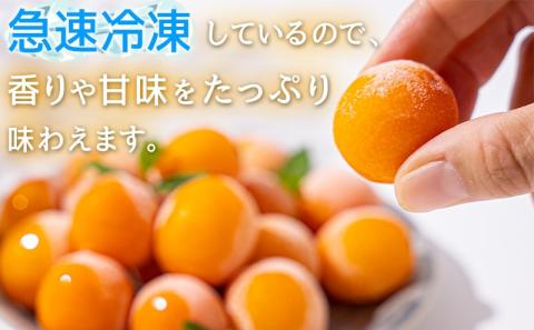 天然のシャーベット! 丸かじり氷結きんかん_AA-B502