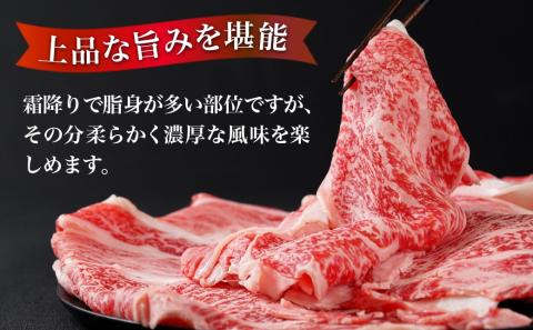 宮崎牛リブローススライス500g_AO-2501