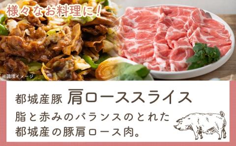 Misoスパイスと豚肩ロース・豚みそ漬け5袋セット_AA-F205