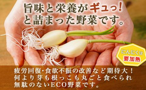 スーパーフード!つまみにんにく&ディップセット ≪みやこんじょ特急便≫_AA-C902