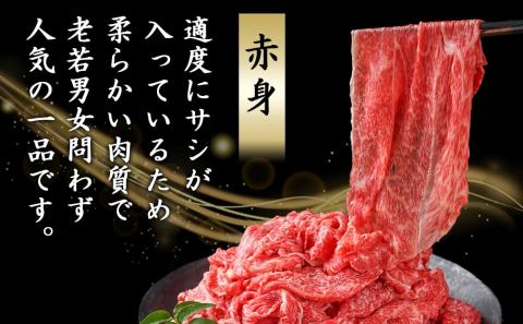 宮崎牛(A5)赤身切り落とし 2.5kg_DI-0102_【肉 牛肉 切り落とし 焼き肉 焼肉 スライス すき焼き しゃぶしゃぶ 人気 おすすめ 国産】