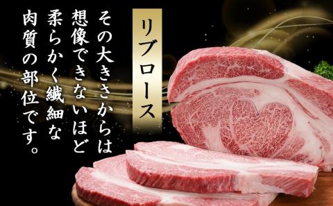 超主役級!宮崎牛リブロースブロック 3kg_MC-0102