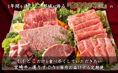 特選(A5)宮崎牛の宝箱 (12ヶ月定期便)_TAH12-0101