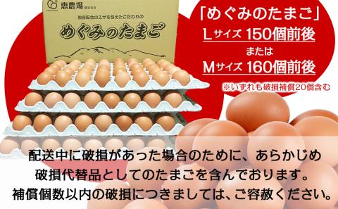 星空が綺麗な町より～「めぐみのたまご」(LまたはMサイズ)10kg_16-6801