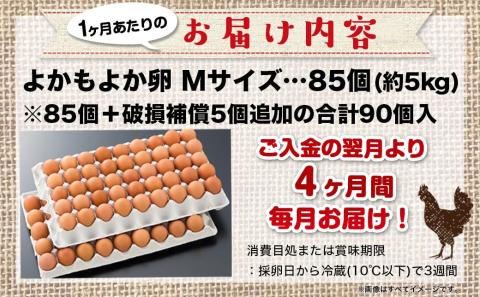 よかもよか卵85個の定期便(4ヶ月)_T60-4-2901