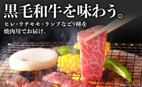 【国産黒毛和牛】焼肉食べ比べ 9種盛 各種80g_AE-E902_【肉 牛肉 焼き肉 焼肉 人気 おすすめ 国産 宮崎県産】