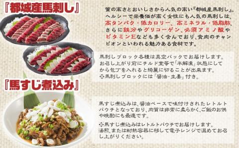 都城産馬!馬!馬尽くし定期便(10ヵ月)_T80(10)-0101