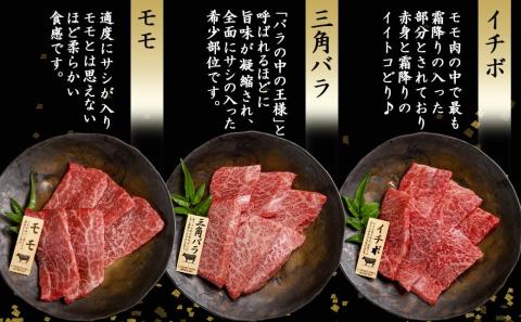 【A5】宮崎牛焼肉3種食べ比べセット【三角バラ・イチボ・モモ】_AC-0110_【肉 牛肉 焼き肉 焼肉 人気 おすすめ 国産 宮崎県産】