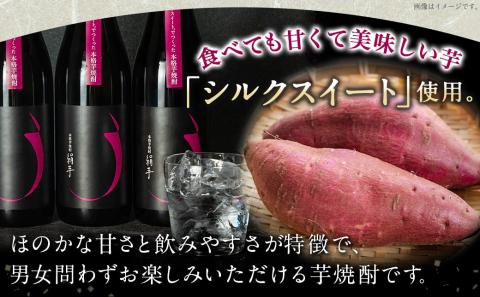 本格芋焼酎「絹芋」3本 ≪みやこんじょ特急便≫_MJ-B302