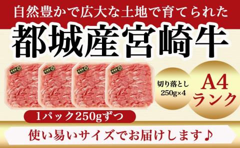 宮崎牛切り落とし1kg(250g×4パック)_AC-5401