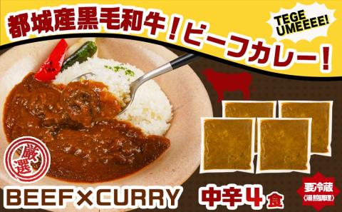カレー倶楽部ルウのビーフカレー4食&ポークカレー4食セット_LF-2701