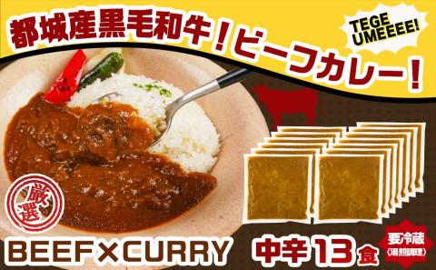 カレー倶楽部ルウの26食カレーセット(ビーフ13食&チキン13食)_14-2701
