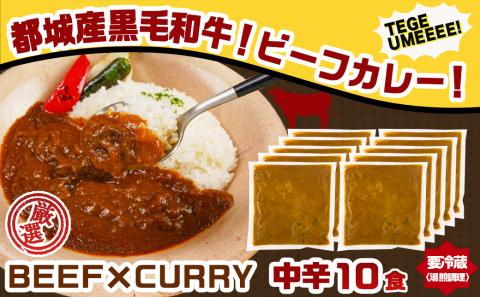 カレー倶楽部ルウのビーフカレー10食&手羽元カレー2食セット_AA-2709