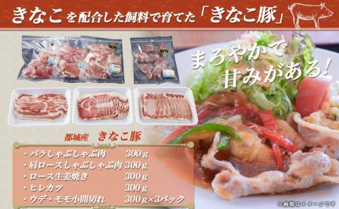 「きなこ豚」バラエティ2.1kgセット_MJ-1205
