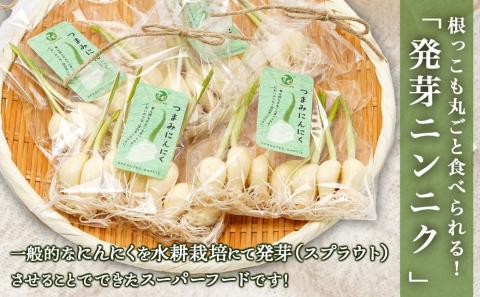 スーパーフード!つまみにんにく 7本入り×4袋※ポスト投函≪みやこんじょ特急便≫_LB-C901-Q