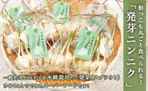 スーパーフード!つまみにんにく 7本入り×5袋※ポスト投函≪みやこんじょ特急便≫_LC-C901-Q