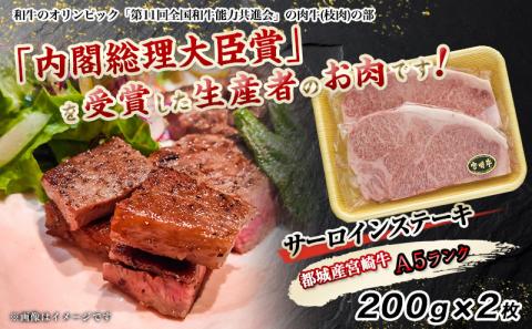 宮崎牛サーロインステーキ 200g×2枚【A5】_MA-A002