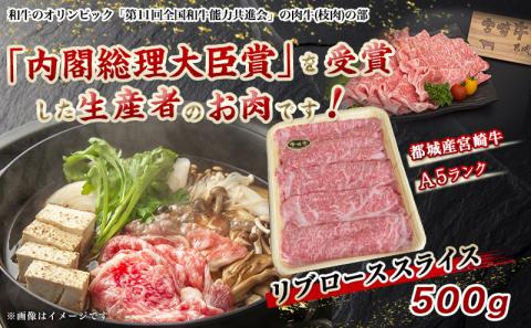 宮崎牛リブローススライス 500g【A5】_MA-A004