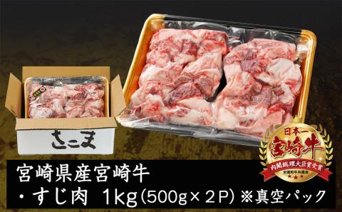 宮崎牛のすじ肉1kg (500g×2パック)_AO-7703