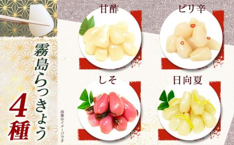 霧島らっきょう4種18袋セット_MJ-C802