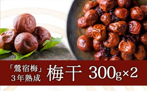 徳重おばあちゃんがつくった昔ながらの3年熟成梅干600g_MJ-4901